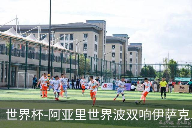 世界杯-阿亚里世界波双响伊萨克1射2传 瑞典5-1突尼斯